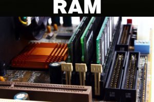 Ram