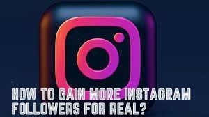 How To Gain More Instagram Followers for Real? – Tremblzer Blogs