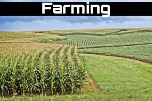 IOT : Farming