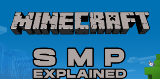 what does smp stand for in minecraft