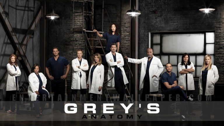 Grey Anatomy Season 17 Sizzling Questions :Spoilers, Everything You Need To Know About Season 17 Episodes