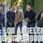 NCIS: Los Angeles Season 12 Episode 17 – Release Date, Spoilers, Cast - Is Kensi And Deeks Still In Fear?