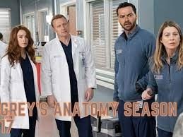 Grey’s Anatomy Season 17 Episode 15 Release Date, Spoilers, Preview -Levi and Koracick Fight’s To Rescue Old Women