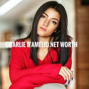 Charlie D'Amelio net worth