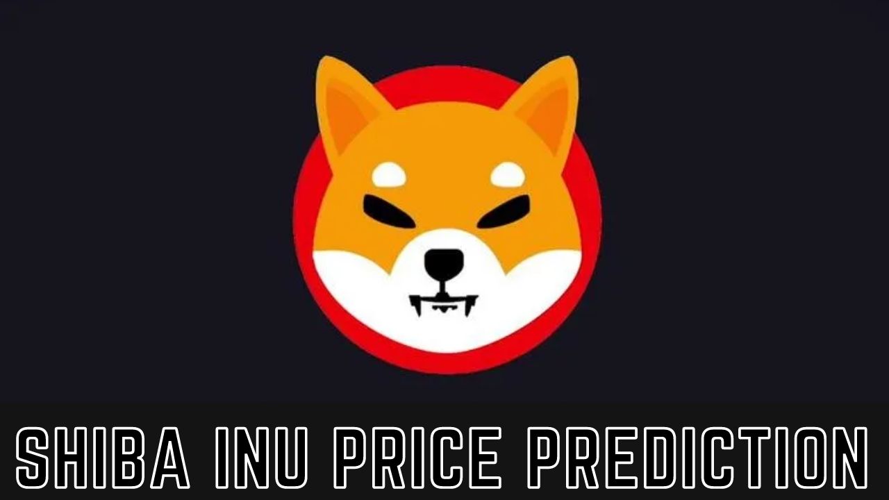 Shiba Inu price prediction for 2022