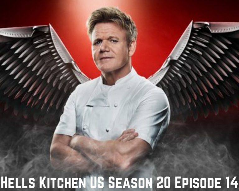 Watch Hells Kitchen US Season 20 Episode 14  Online