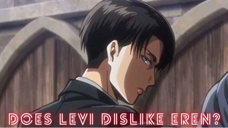 Does Levi Really Dislikes Eren?