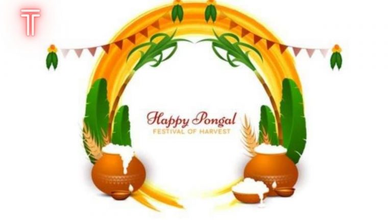 Happy Pongal 2022: Date, History, Wishes And More