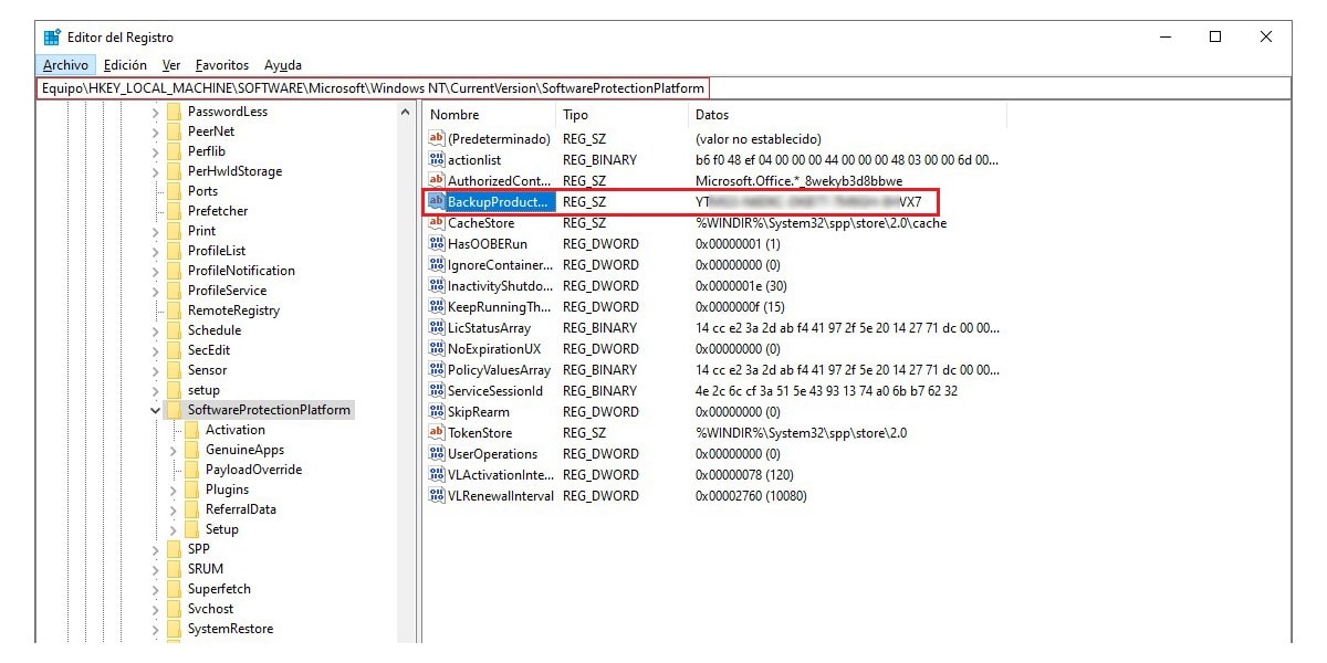 Windows key from Registry