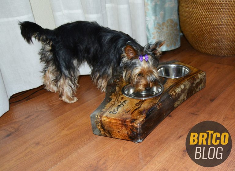 DIY dog bowl