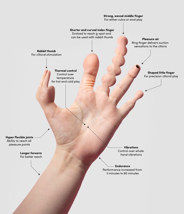 evolution of the hand as a sex toy