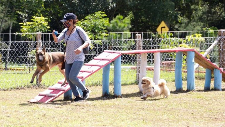 Pet parks at the Érick Barrondo and Gerona sports centers in Guatemala